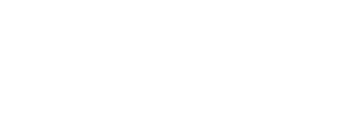 Brain IPB